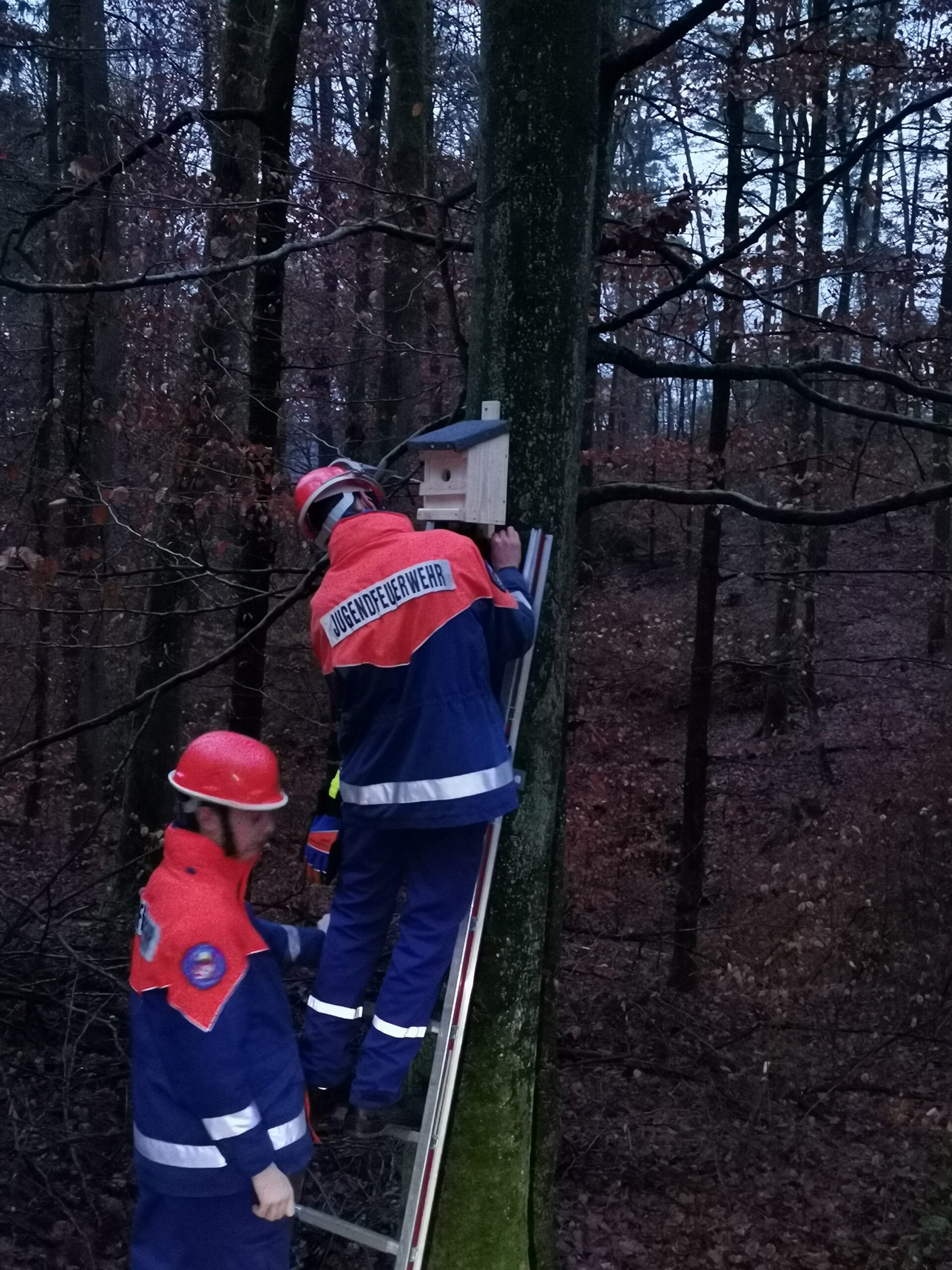 Jugendfeuerwehr baut Nistkästen